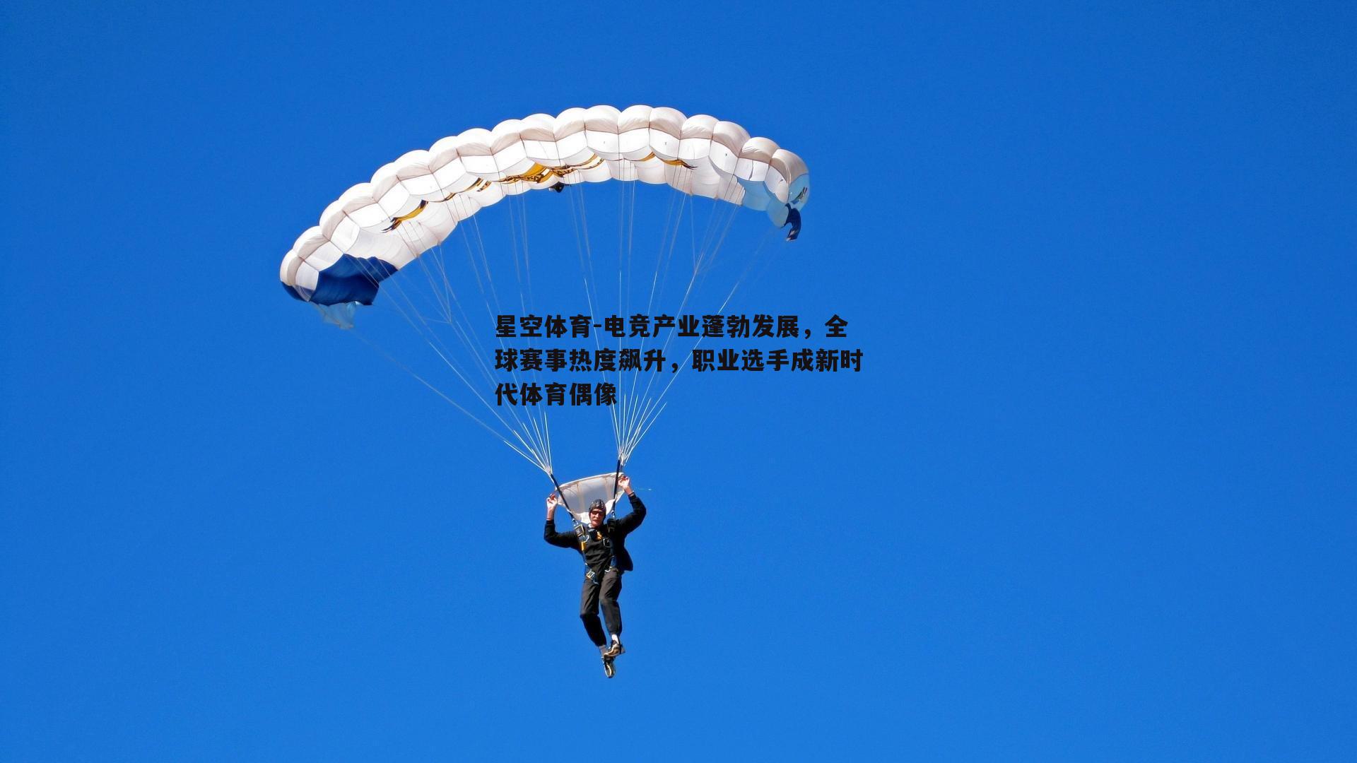 电竞产业蓬勃发展，全球赛事热度飙升，职业选手成新时代体育偶像